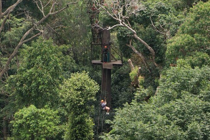 Chiang Mai Zip Line Experience - Price and Value: Why $59.90 Can Make Sense