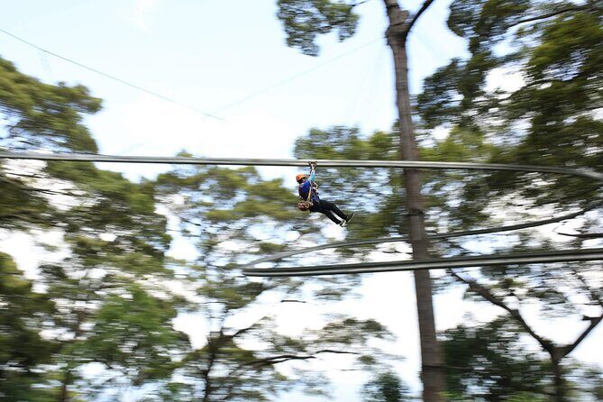 Chiang Mai Zip Line Experience - Should You Book the Chiang Mai Zip Line Experience?