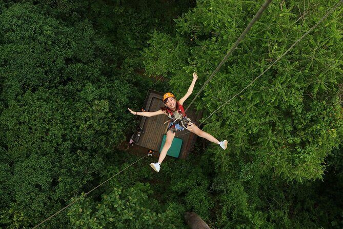 Chiang Mai Zip Line Experience - The Zipline Course: 14 Lines Plus Abseils and Staircases