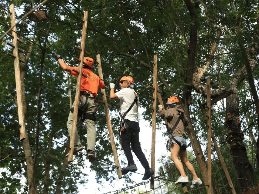 Chiang Mai: Zipline adventure with lunch & city hotel pickup - Who this adventure fits best (and who should reconsider)