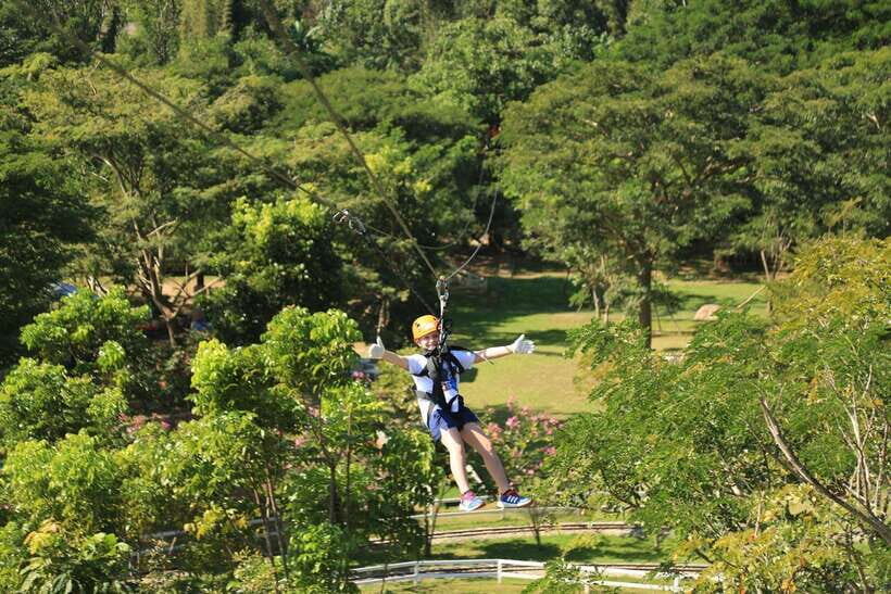 Chiang Mai: Zipline & High Rope Park with Lunch & Transfer - Price and value check: does $32 make sense?