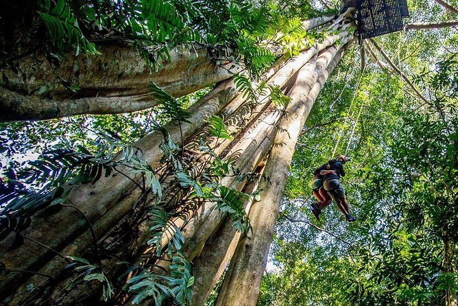 Chiang Mai Zipline White Water Rafting and Elephant Sanctuary - Who This Tour Fits Best (and Who Should Skip It)