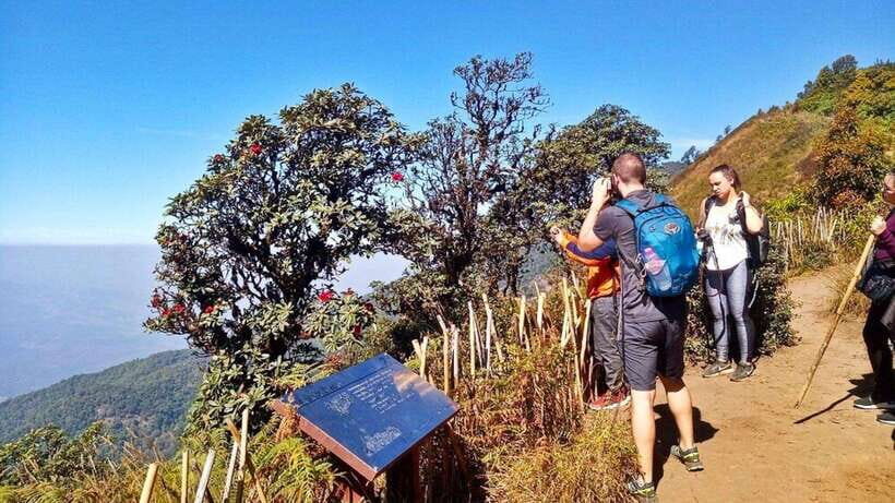 Chiang Mai:Doi Inthanon National Park & Hike at Kew Mae Pan - Doi Inthanon National Park: starting at the highest point