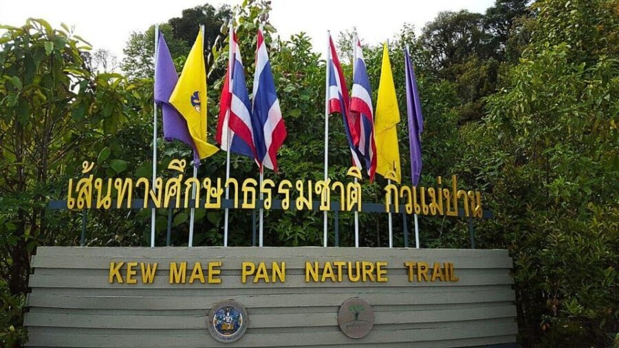 Chiang Mai:Doi Inthanon National Park & Hike at Kew Mae Pan - Midday pacing: two pagoda photo moments and a quick stretch