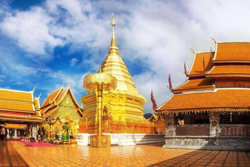 Chiang Mai:Wat Phra That Doi Suthep & Wat Umong Evening Tour - The Wat Umong shift: a quiet forest walk at the tunnel temple