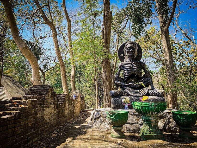 Chiang Mai:Wat Phra That Doi Suthep & Wat Umong Evening Tour - Who should book this evening combo (and who shouldn’t)