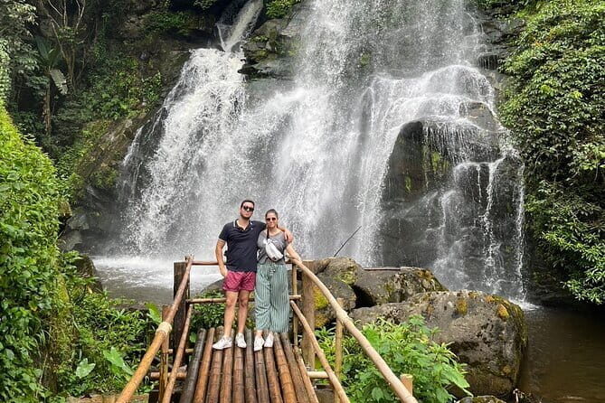 ChiangMai 1DayTour:Elephant Sanctuary,king&queen pagoda,waterfall - Key things to know before you go