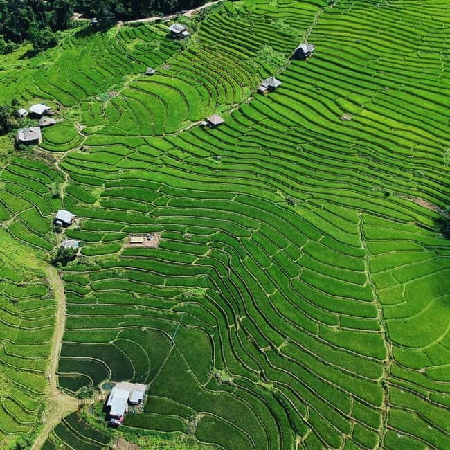 Chiangmai : Doi Inthanon unseen spot , Rice terrace & temple - Key Things I’d Prioritize