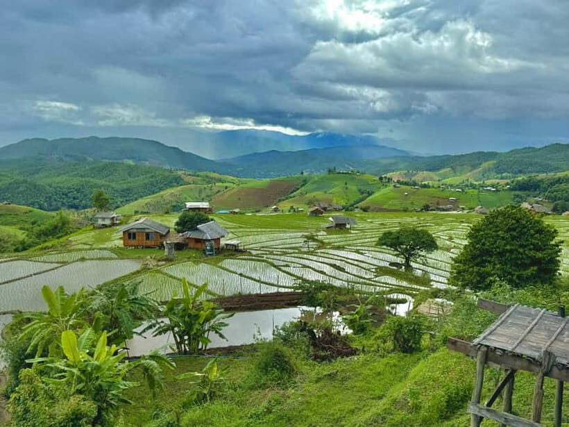 Chiangmai : Doi Inthanon unseen spot , Rice terrace & temple - Rice Terraces Near Doi Inthanon: The Green-to-Gold Color Shift