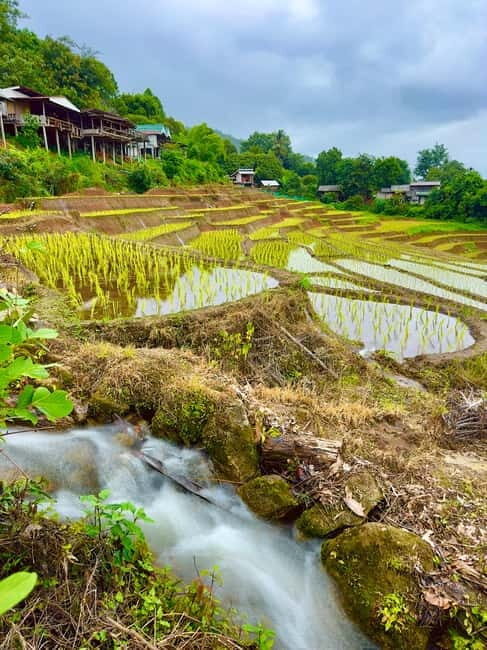 Chiangmai : Doi Inthanon unseen spot , Rice terrace & temple - Guide Quality: When the Day Changes, Your Experience Should Still Hold