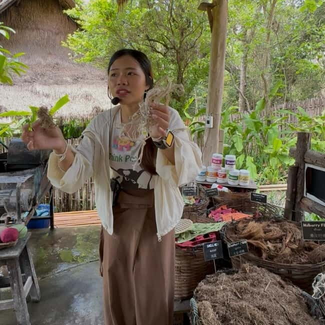 ChiangMai Elephant POOPOOPAPER Park Optional StickyWaterfall - Outdoor Eco Museum Energy: How to Read the Atmosphere