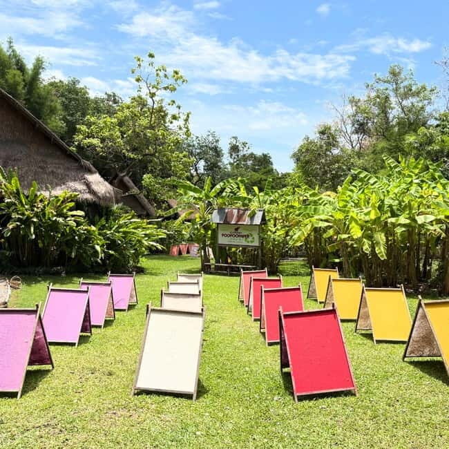 ChiangMai Elephant POOPOOPAPER Park Optional StickyWaterfall - Pair It With Sticky Waterfall (Bua Tong) If You Want a Full Day