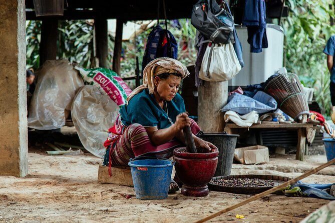 City Escape: Doi Inthanon & Karen Village Private Day Trip - Price and value: what $224.94 buys you (and what it doesn’t)