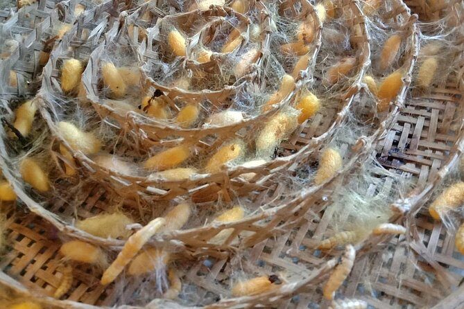 Completed Thai Silk Class Experience - Chiang Mai Thai silk: why this class feels more meaningful