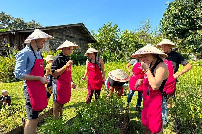 Cooking Class with Organic Farm in Chiang Mai - Price and value: what $46.95 actually buys