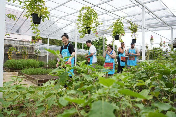 Cooking Class with Organic Farm in Chiang Mai at Mama Noi - Organic farm garden: where the ingredients start