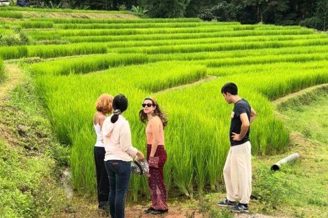 Doi Inthanon Day Trip:Twin Pagodas,Soft Hiking,Coffee Plantation - Wachirathan Falls: The Big Water Moment
