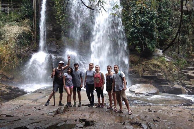 Doi Inthanon Day Trip:Twin Pagodas,Soft Hiking,Coffee Plantation - Hilltribe Villages: Craft Market-Style Culture Stop