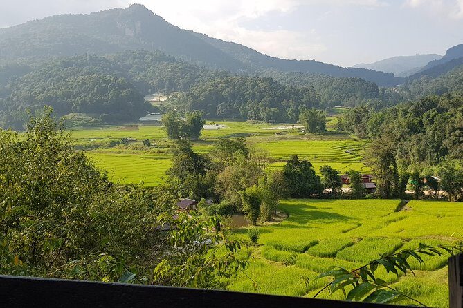Doi inthanon National Park + 2Hour Fantastic Trekking with Lunch - Price and Value for $50.80: What You’re Paying For
