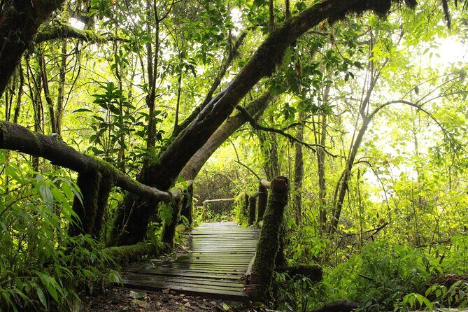 Doi Inthanon National park and 2 hours hiking with private tour - Summit zone viewing: Doi Inthanon, highest point in Thailand
