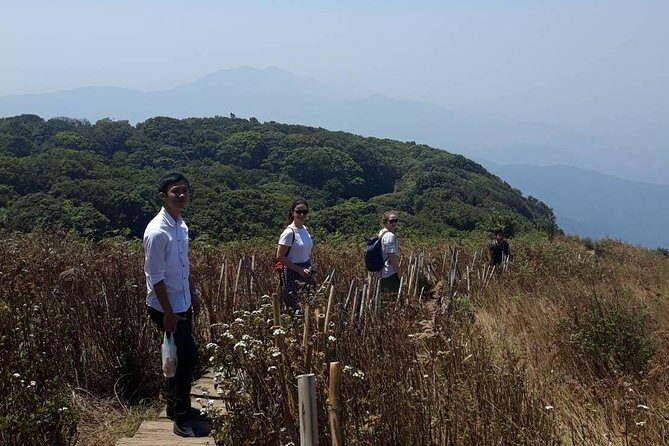 Doi Inthanon National Park Day Trip - Who this tour fits best (and who should think twice)
