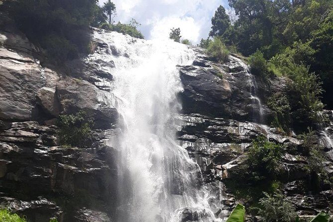 Doi Inthanon National Park Day Trip - Practical tips to make the most of your day
