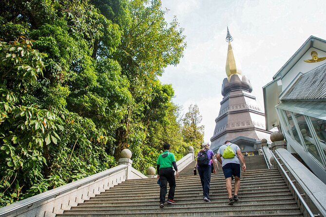 Doi Inthanon National Park Eco-Friendly Full Day Tour - Ang Ka Nature Trail boardwalk: easy walking with real context