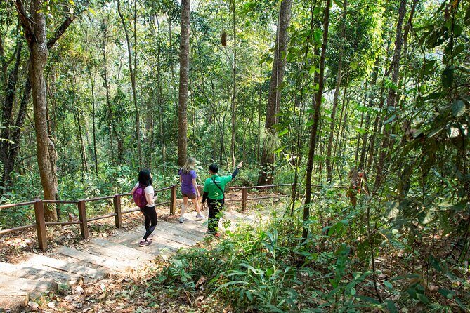 Doi Inthanon National Park Eco-Friendly Full Day Tour - Twin Royal Stupas: royal pagodas with mountain-range views
