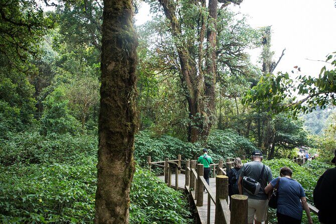 Doi Inthanon National Park Eco-Friendly Full Day Tour - Wachirathan Falls: 80m thunder and the rainbow chance