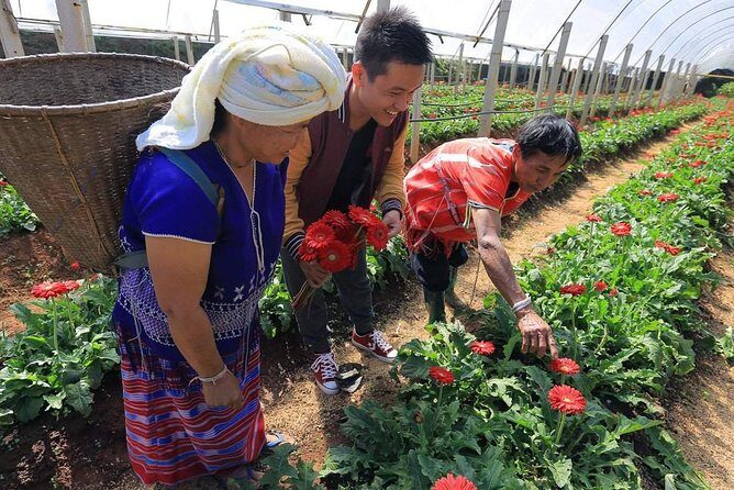 Doi Inthanon National Park Full Day Tour from Chiang Mai - Ban Mae Klang Luang village: rice and coffee livelihoods with mountain views