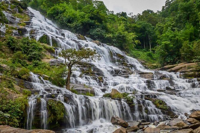 Doi Inthanon National Park Full Day Tour from Chiang Mai - Price and value: why this is competitive (and where you should compare)