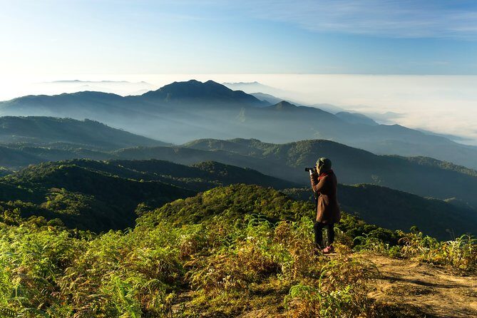 Doi Inthanon National Park - Thailand's Highest Peak - Twin Royal Stupas: A Symmetrical Royal Moment Above the Trees