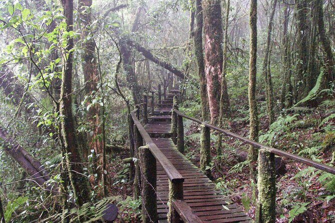 Doi Inthanon National Park - Thailand's Highest Peak - The 8:30am Start: How the Day Flows From Chiang Mai