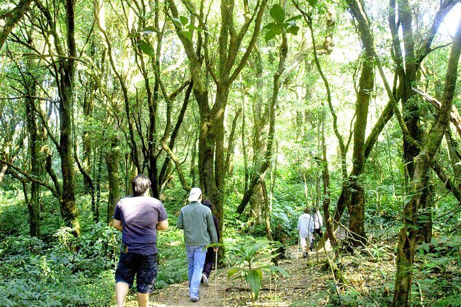 Doi Inthanon National Park, Waterfall & Royal Project Day Tour From Chiang Mai - Getting to Doi Inthanon Without a Headache: The Touring Style