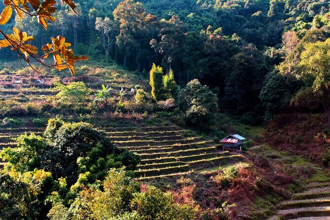 Doi Inthanon National Park, Waterfall & Royal Project Day Tour From Chiang Mai - Stop 2: Wachirathan Falls for the Big Waterfall Moment