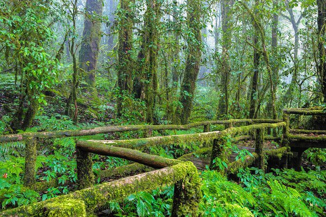 Doi Inthanon National Park, Waterfall & Royal Project Day Tour From Chiang Mai - Stop 3: Sirithan Falls for a Calmer Cascade