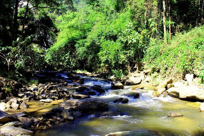 Doi Inthanon National Park, Waterfall & Royal Project Day Tour From Chiang Mai - Stop 5: The Hill Tribe Village Visit and the Coffee/Tea Stops