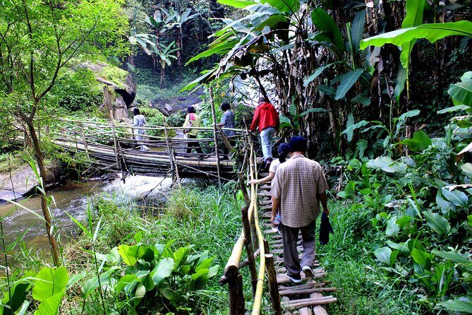 Doi Inthanon National Park, Waterfall & Royal Project Day Tour From Chiang Mai - Group Size, Walking Pace, and How Much Is Actually Walking