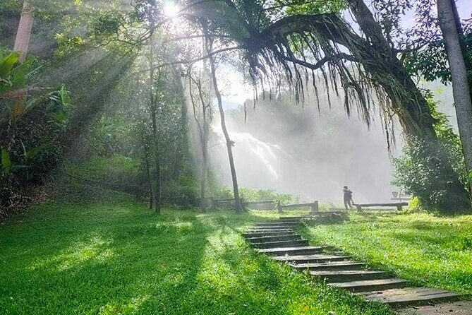Doi Inthanon Private Trek & Lunch Tour from Chiang Mai - Stop 1: Doi Inthanon park time—how to use your first hour well