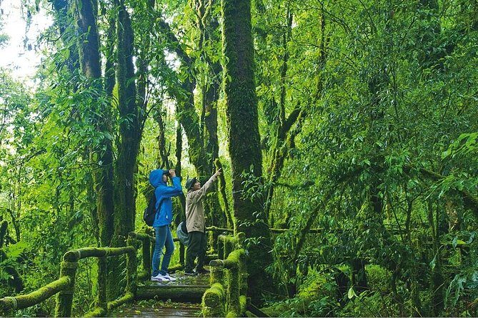 Doi Inthanon Waterfall and Royal Project Chiang Mai - Comfort details that make the long day feel doable