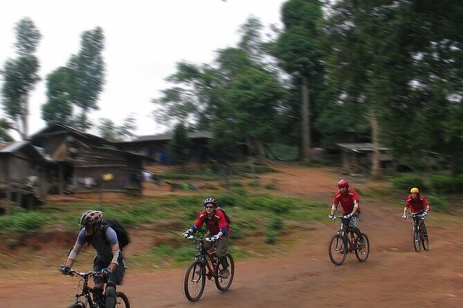 Doi Suthep National Park To Chiang Mai Beginner Downhill Mountain Biking - Who this tour fits best (and who might want a different style)