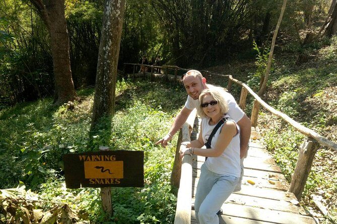 Doi Suthep Temple and Bau Thong Waterfalls Private Tour - Private-tour comfort: how the 7 to 9 hour timing usually feels