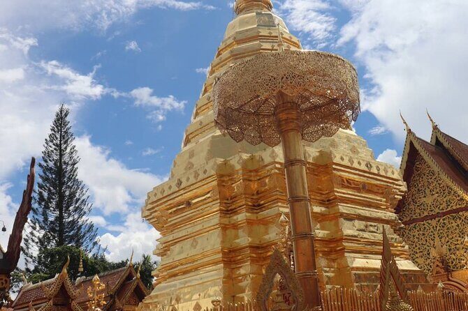 Doi Suthep Temple, Pha Lat Temple, Sticky Waterfall, Orchid farm - Best Fit: Who Will Love This Tour, and Who Should Rethink It