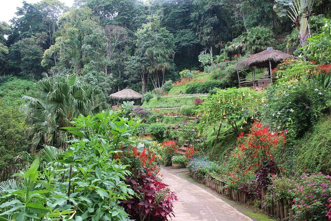 DON'T miss It ! Doi suthep temple+ Hmong village - Logistics to Know: Join-In Pickup, Group Size, and Luggage Limits
