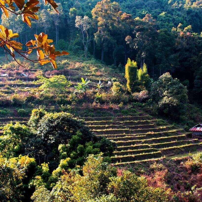Eco-Friendly: Doi Inthanon & Pha Dok Siew Trekking Day Trip - What Makes This Day Trip Work (and for Who)