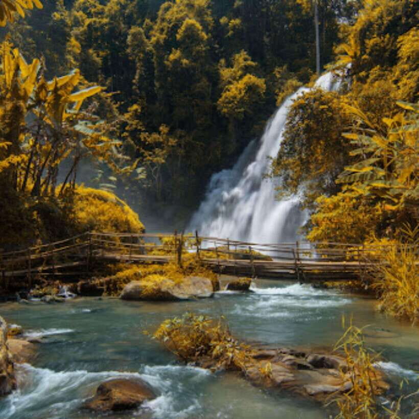 Eco-Friendly: Doi Inthanon & Pha Dok Siew Trekking Day Trip - A 10-hour Taste of Doi Inthanon from Chiang Mai