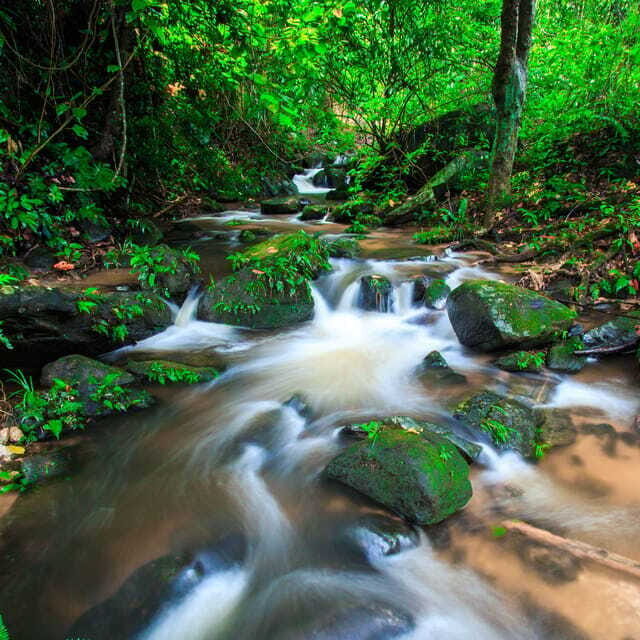 Eco-Friendly: Doi Inthanon & Pha Dok Siew Trekking Day Trip - Wachirathan Waterfall: When the Day Feels Worth It
