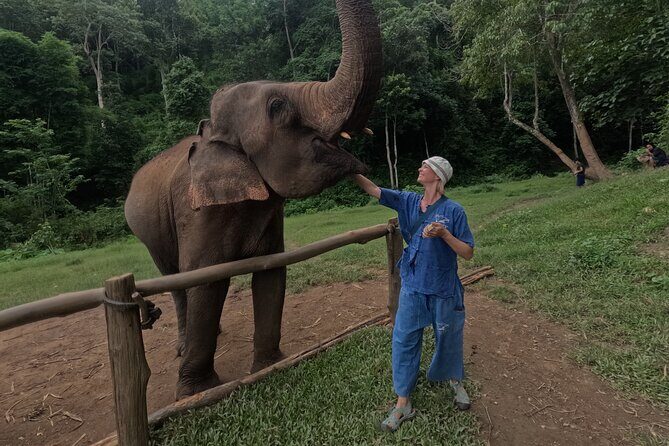 Elephant care program at CHIANGMAI ELEPHANT CARE - Hotel Pickup and the Countryside Drive to the Sanctuary