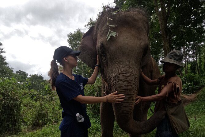 Elephant care program at CHIANGMAI ELEPHANT CARE - Lunch Time That Actually Feels Like Chiang Mai Food