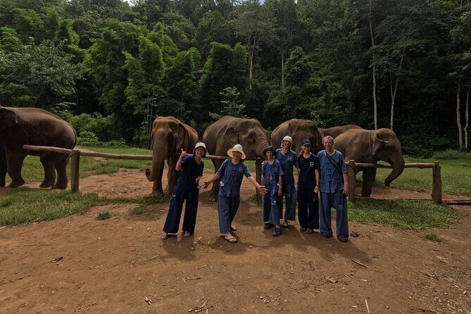 Elephant care program at CHIANGMAI ELEPHANT CARE - Price and Value: What $52 Gets You (and What You’re Paying For)